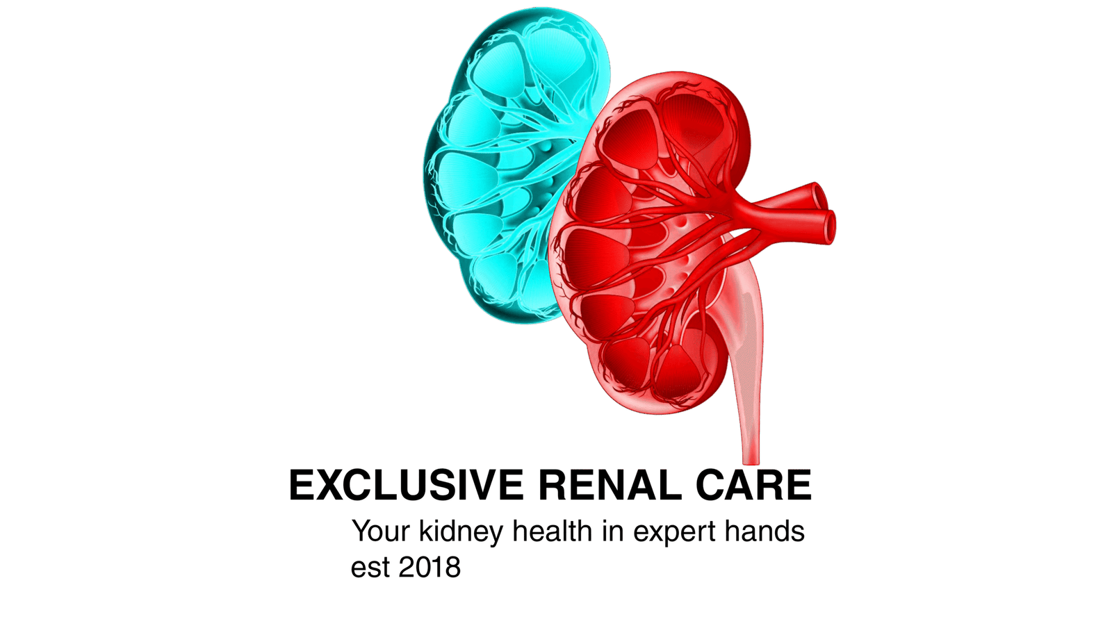 Exclusive Renal Care Logo